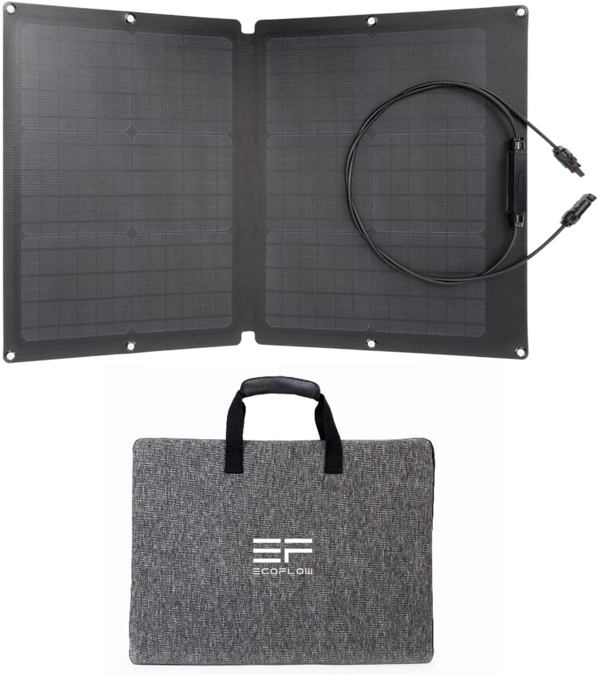 Ecoflow 60W Portable Solar Panel 