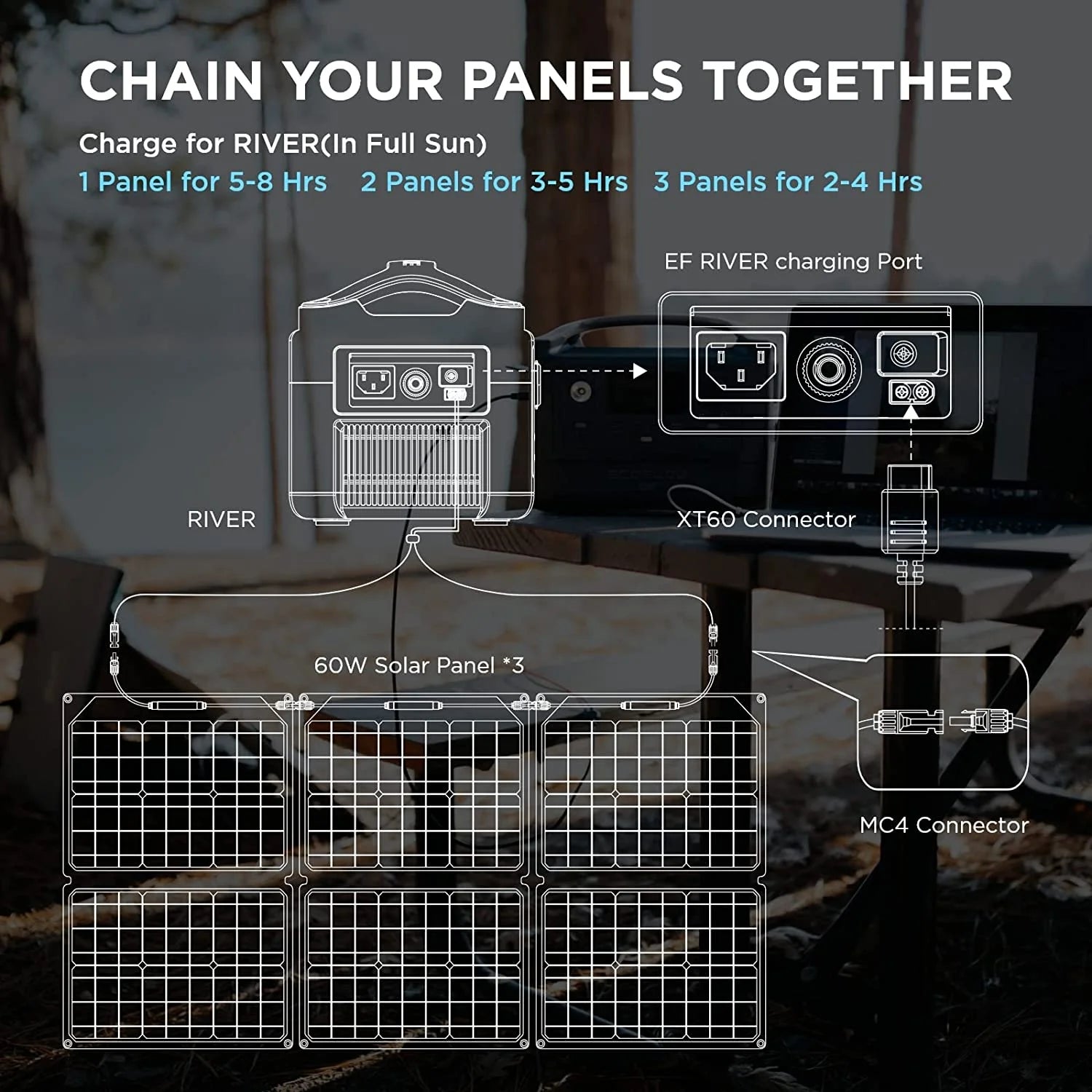 Ecoflow 60W Portable Solar Panel 